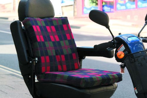 Harley 2 way support cushion on a scooter