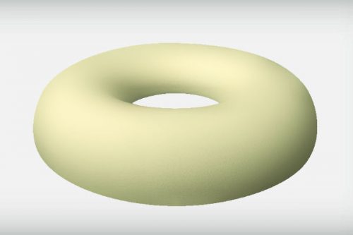 Original Ring Cushion