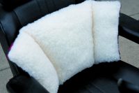 Back Care Accessories